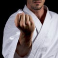 Karateka Royalty Free Stock Photo