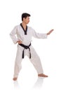 Karateka fighting stance side view figure full length Royalty Free Stock Photo