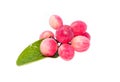 Karaunda fruit Royalty Free Stock Photo