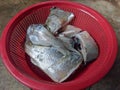 Karawang, Indonesia, 16 September 2022: Fresh milkfish has been cleaned and cut ready