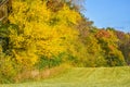 Karcher Springs Marsh Wildlife Area Royalty Free Stock Photo