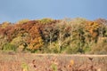 Karcher Marsh Wildlife Area