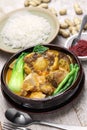 Kare kare, filipino oxtail stew Royalty Free Stock Photo