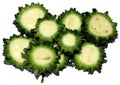 Karela Royalty Free Stock Photo