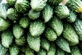 Karela bitter gourd or bitter melon vegetables at grocery store. Vegetable pattern