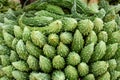 Karela vegetables or bitter gourd or bitter melon on market in Mumbai. India