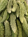 Karela vegetables are healthy and tasty