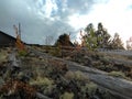 Karelia - Moss growing on the roof