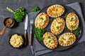 Karelian pasties, karelian pie, Finnish rye pies Royalty Free Stock Photo