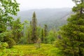 Karhunkierros trail. View from summery Valtavaara hill. Royalty Free Stock Photo