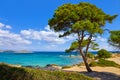 Karidi Beach peninsula Sithonia Chalkidiki Greece Royalty Free Stock Photo
