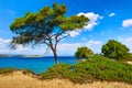 Karidi Beach at Sithonia peninsula, Chalkidiki, Greece. Royalty Free Stock Photo