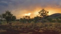 Karijini National Park, Western Australia Royalty Free Stock Photo