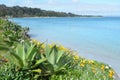 Karikari Peninsula - landscape New Zealand Royalty Free Stock Photo