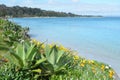 Karikari Peninsula - landscape New Zealand