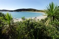 Karikari Peninsula - New Zealand Royalty Free Stock Photo