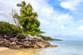 Karimunjawa indonesia java beach coastline rocks Royalty Free Stock Photo