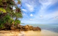 Karimunjawa indonesia java beach coastline rocks