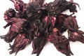 Karkade tea. Heap of dried hibiscus flowers. Red hibiscus petals isolated on a white background