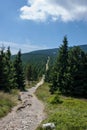 Karkonosze Mountain View