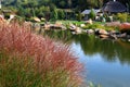 Karl Foerster Grass, Calamagrostis acutiflora grows in park landscape. Popular beautiful perennial Ornamental Feather reed grass Royalty Free Stock Photo