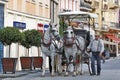 Karlovy Vary, Czech Republic - City explore with Horse Carriage Royalty Free Stock Photo