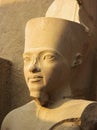 Karnak Statue Royalty Free Stock Photo