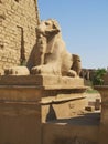 Karnak Royalty Free Stock Photo