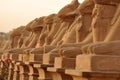 Karnak Temple Royalty Free Stock Photo