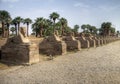 Karnak Temple