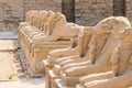 Karnak temple complex in Luxor, Egypt. Criosphinxes alley, sphinxes with ram heads