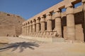 The Karnak Temple Complex and sphinx statues