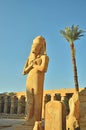 Karnak temple, Egypt Royalty Free Stock Photo