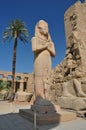 Statue, historic, site, sculpture, monument, ancient, history, landmark, tourist, attraction, archaeological, egyptian, temple, st