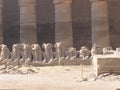 Karnak temple, Egypt, Africa - sphinxes