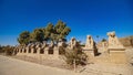 Karnak Temple in Luxor, Egypt. The Karnak Temple Complex, commonly known as Karnak, comprises a vast mix of decayed temples, Royalty Free Stock Photo