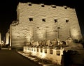 Karnak temple in Luxor at night Royalty Free Stock Photo