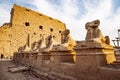 Karnak Temple in Luxor at sunset and the Ram headed Sphinx statues in front