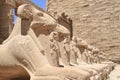 Karnak Temple Royalty Free Stock Photo
