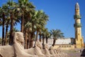 Karnak Temple Sphinxs Royalty Free Stock Photo