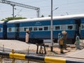 Indian traders working a railway train