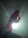 Karen O, a rock star on stage