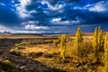 The Karoo veld Royalty Free Stock Photo