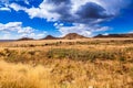 The Karoo veld Royalty Free Stock Photo