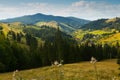 Karpaty is picturesque place