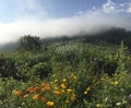 Karpaty is picturesque place mountains in Ukraine