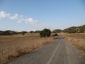 Karpaz National Park,Northern Cyprus. Royalty Free Stock Photo