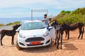 Karpaz Peninsula, Northern Cyprus - Oct 3rd 2018: Young man taking picture of wild donkeys with phone. The donkeys are standing Royalty Free Stock Photo