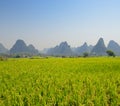 Karst mountain landscape in Yangshuo Guilin, China Royalty Free Stock Photo