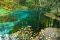 Karst spring at autumn